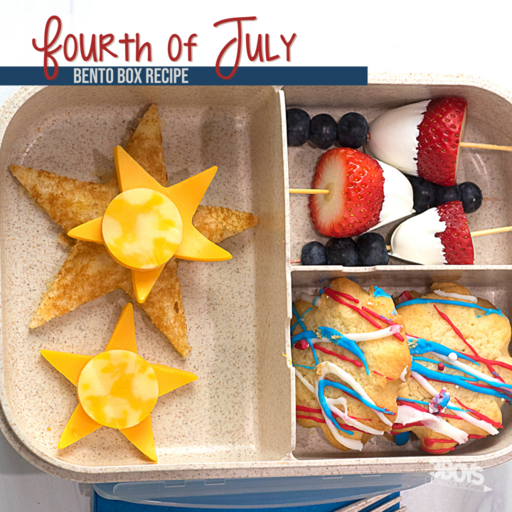 4th of July Bento Lunch Idea