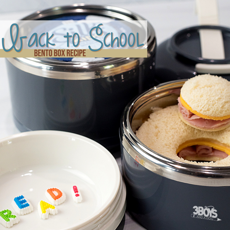 Back to School Bento Lunch