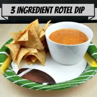 3 Ingredient Rotel Dip from 3 Boys and a Dog
