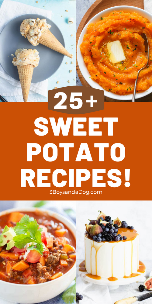 best sweet potato recipes for any time