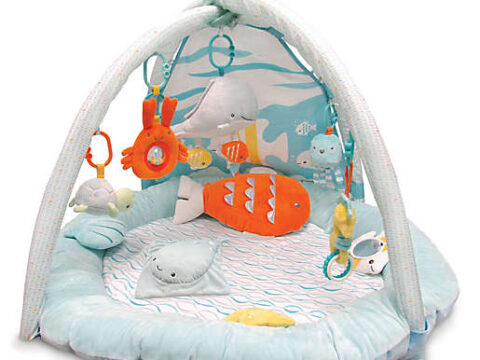 Image for carter's® My Ocean Friends Play Gym