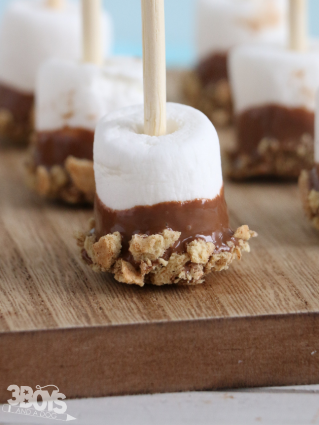 Mess Free S’mores Pops Recipe