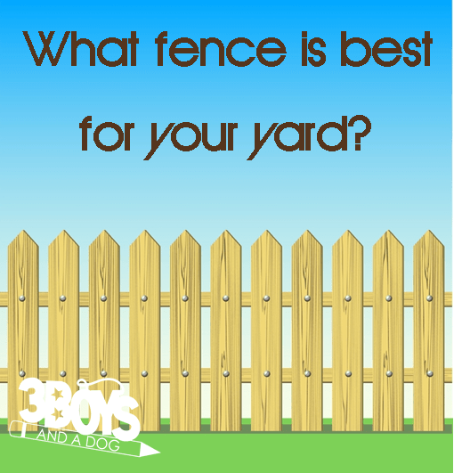 Best Fencing Options
