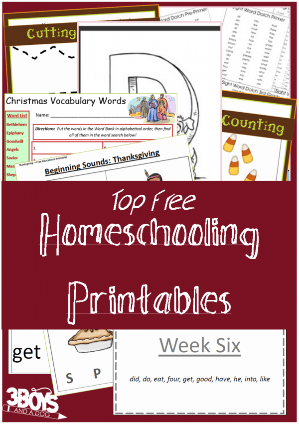 Top 13 Free Homeschooling Printables! - 3 Boys and a Dog