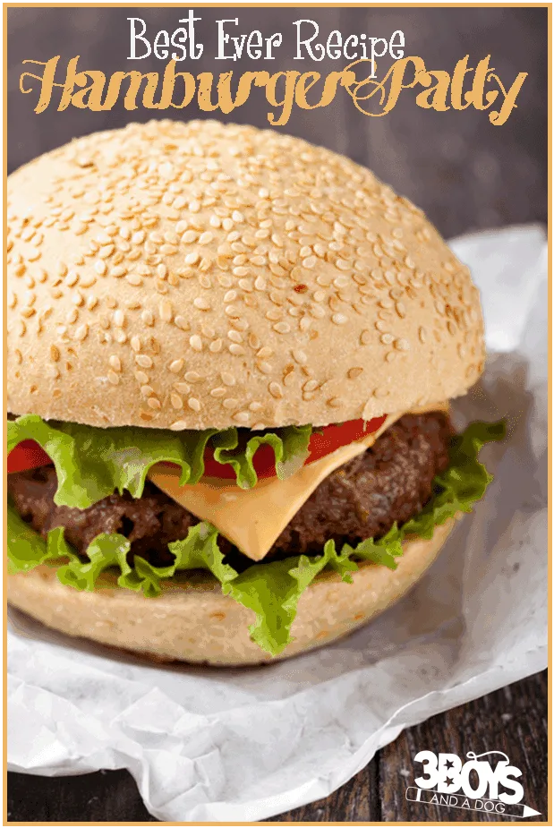 image of yummy hamburger