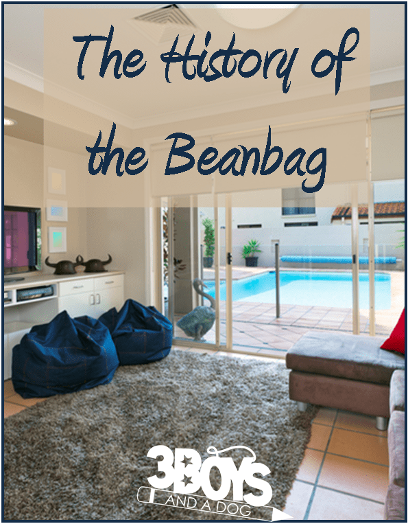 History of the beanbag