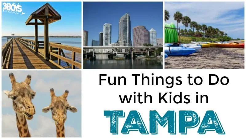Fun Things to Do with Kids in Tampa - 3 Boys and a Dog