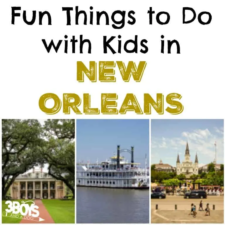 New Orleans 10 Things To Do With Kids