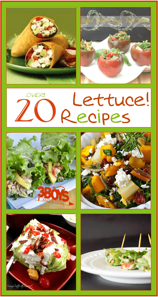 Over 20 Recipes Using Lettuce