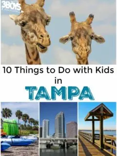 Things to Do with Kids in Tampa - 3 Boys and a Dog