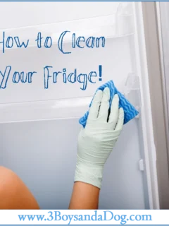 how to professionally clean out your fridge
