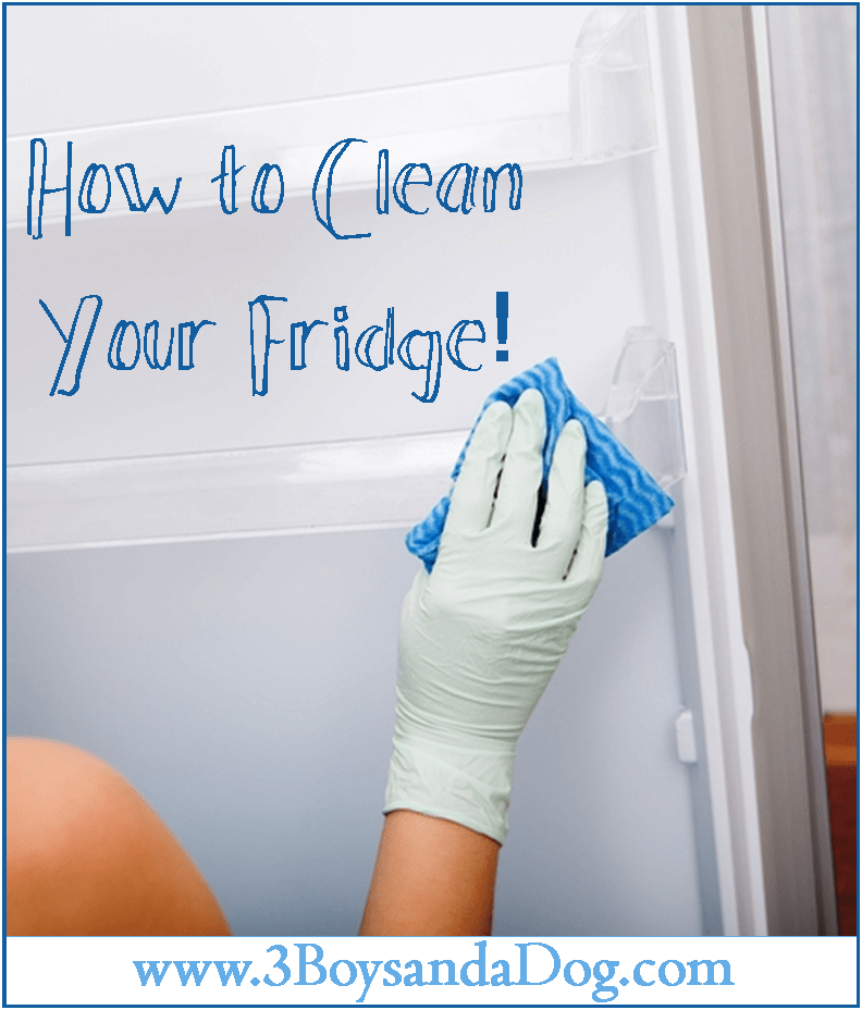 how to professionally clean out your fridge