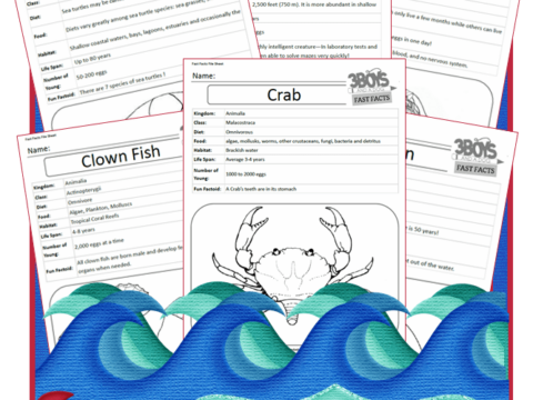 Ocean Animals Unit Study