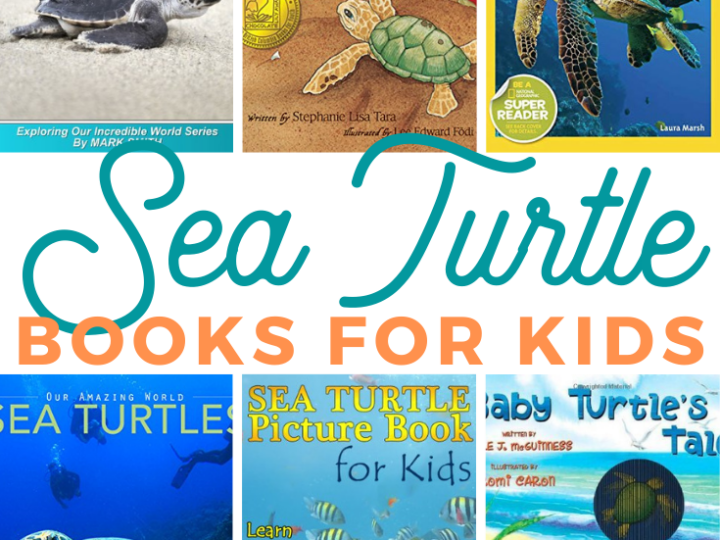 your turtle loving child is going to really enjoy these sea turtle books for children