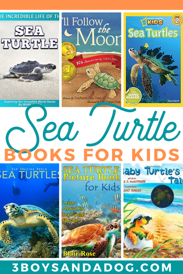 your turtle loving child is going to really enjoy these sea turtle books for children