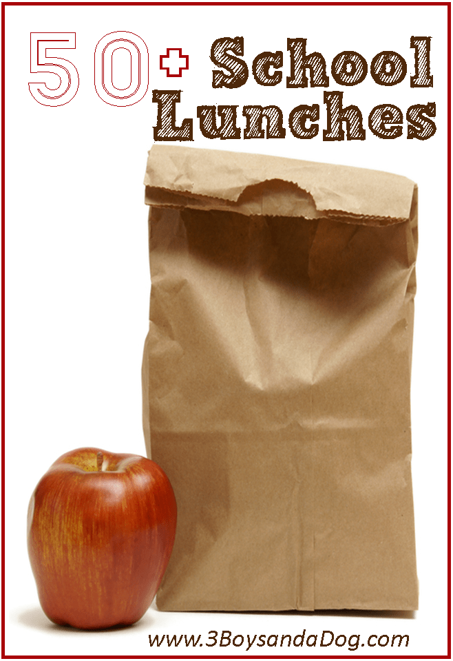 Back to School Lunches – 3 Boys and a Dog