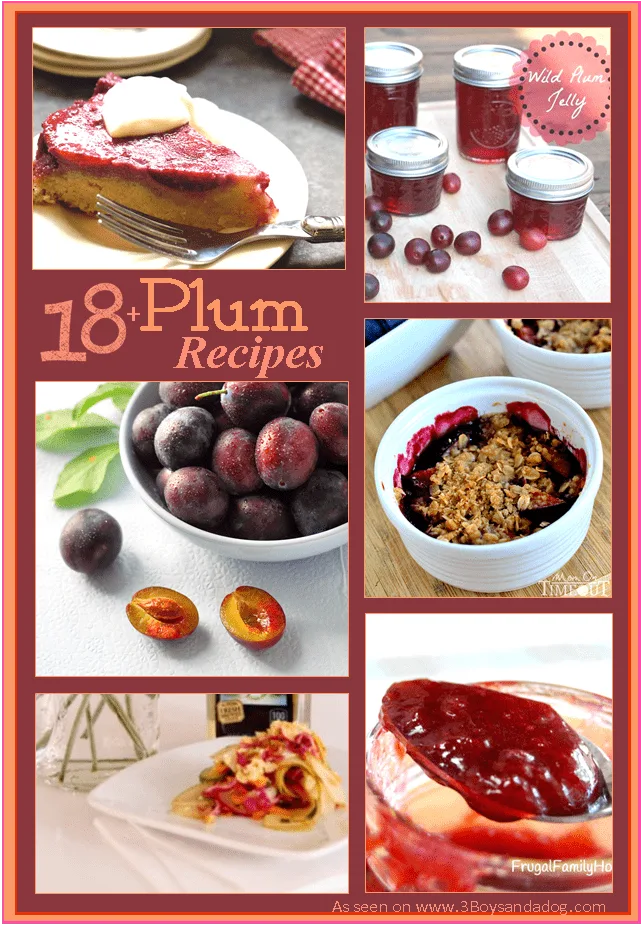 18 fresh plum recipes