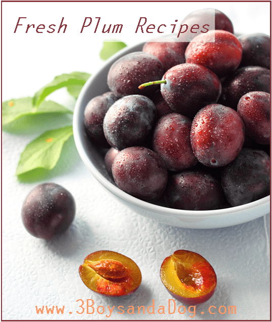 seasonal fruit recipe