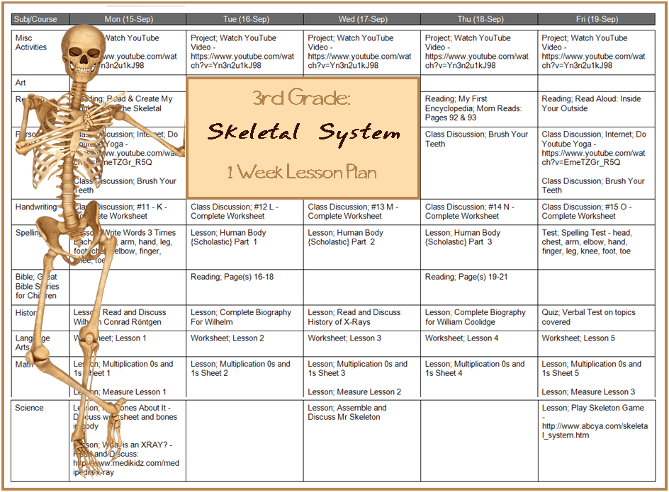 Lesson Plan_Learn to Skeletal System