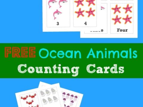 Free Ocean Animal Counting Flashcards - 3 Boys and a Dog