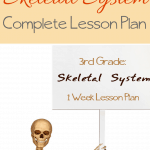 This is a long post... however, it has literally everything you need to complete the week-long Skeletal System Unit Study.