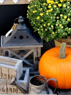 cropped-Fall-Decor-Ideas.png
