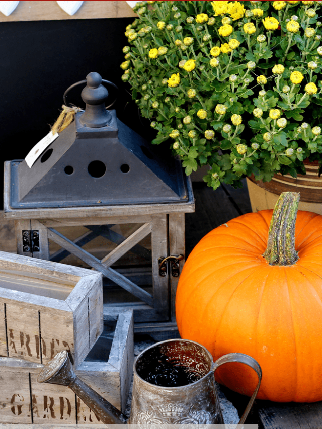 Fall for Home Decorating!