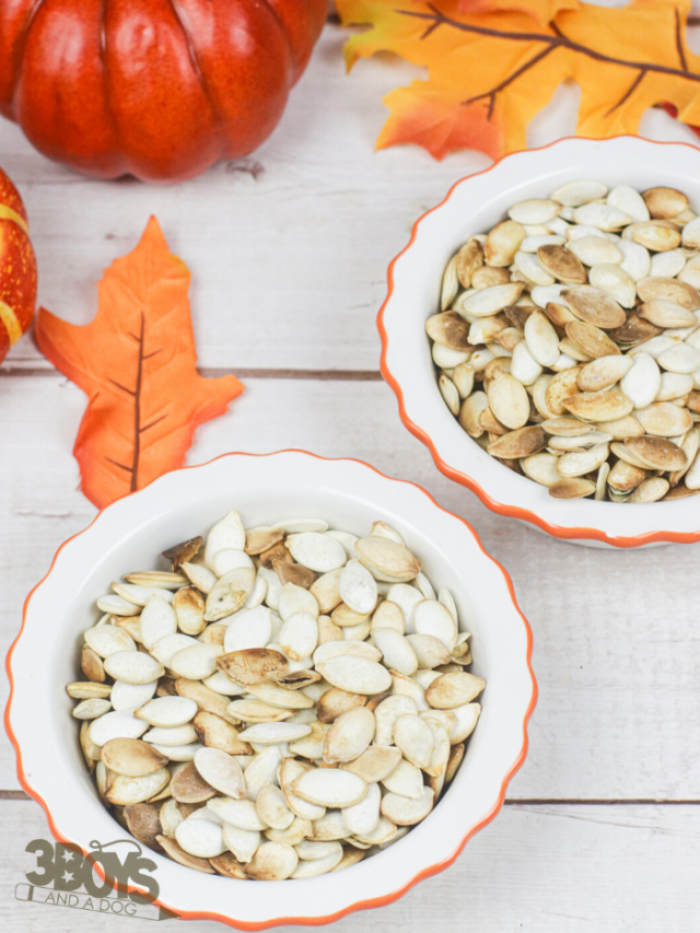 Toasted Pumpkin Seeds Recipe Story