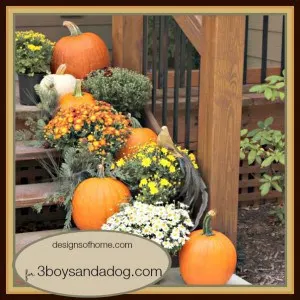 Fabulous Fall Decorating Ideas - Front Steps - 3boysandadog.com