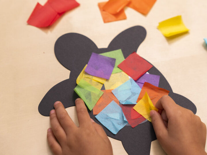 Image for Koala Crate: Activity Boxes & Kits for Kids | Ages 2-4 | KiwiCo