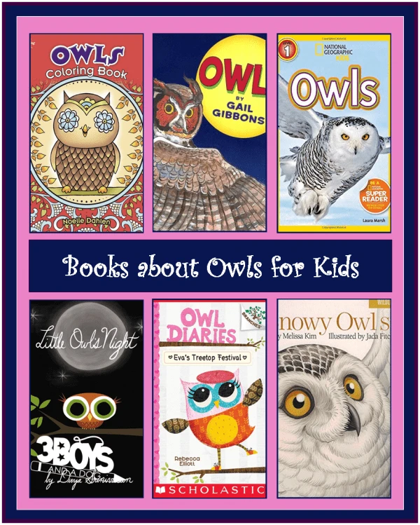 Owl Books for Children