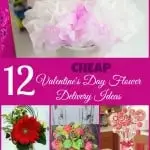 Cheap Valentine's Day Flower Delivery Ideas