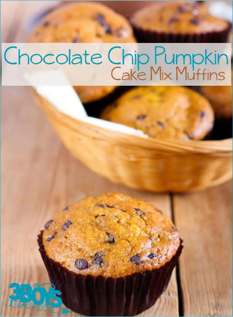 Chocolate Chip Pumpkin Cake Mix Muffins