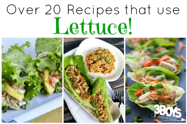 Over 20 Recipes Using Lettuce