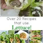 Recipes Using Lettuce