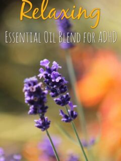ADHD Essential Oil Blend Diffuser Recipe