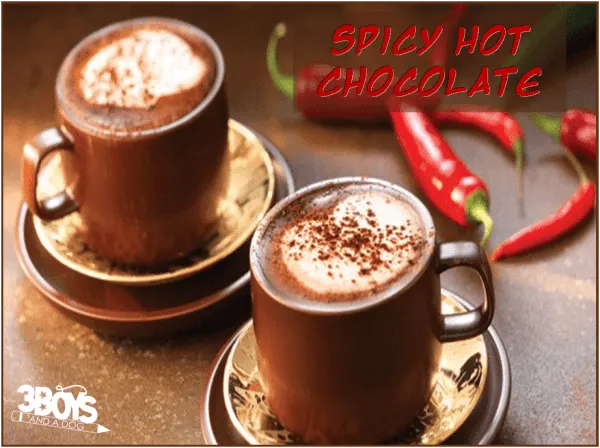 hot cocoa recipe with spice