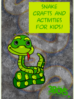 Over 27 Snake Activities for Kids