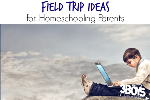 Simple Field Trip Ideas for Homeschooling Parents