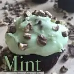 Mint Chocolate Chip Cupcakes - so good no one knows they come from a box!
