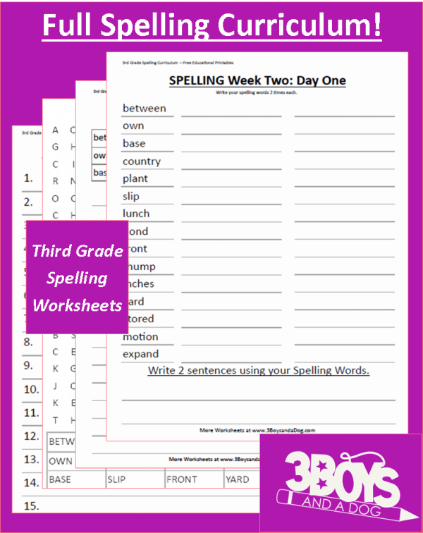 Complete Grade 3 Printable Spelling Worksheets