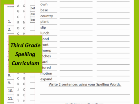 Grade Three Spelling Curriculum Week Two