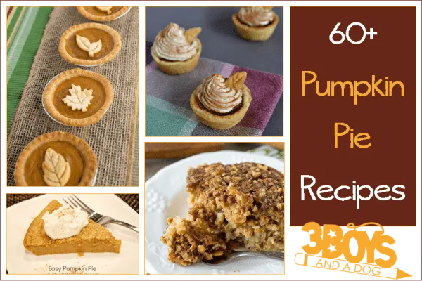 Over 60 delicious and easy pumpkin pie recipes