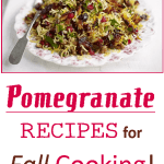 15 Pomegranate Recipes for Fall - from a complete dinner recipe to salad. From beverages to desserts. Adding in some pomegranate juice or seeds to make your next meal a healthy alternative!