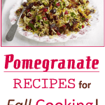 15 Pomegranate Recipes for Fall - from a complete dinner recipe to salad. From beverages to desserts. Adding in some pomegranate juice or seeds to make your next meal a healthy alternative!