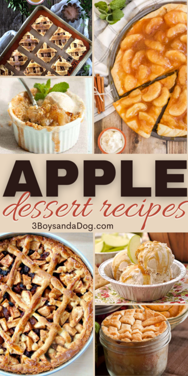 Delicious Apple Pie Recipes