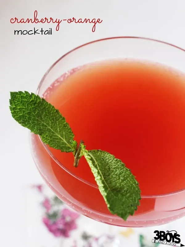 Cranberry Mocktail recipe is a great non-alcoholic drink for your kids or pregnant guests to enjoy at your next gathering.