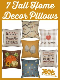 Fall Home Decor Pillows