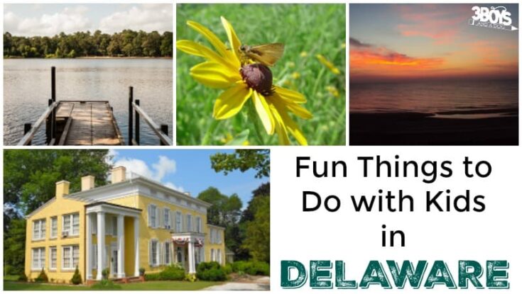Kid-Friendly Things to Do in Delaware - 3 Boys and a Dog