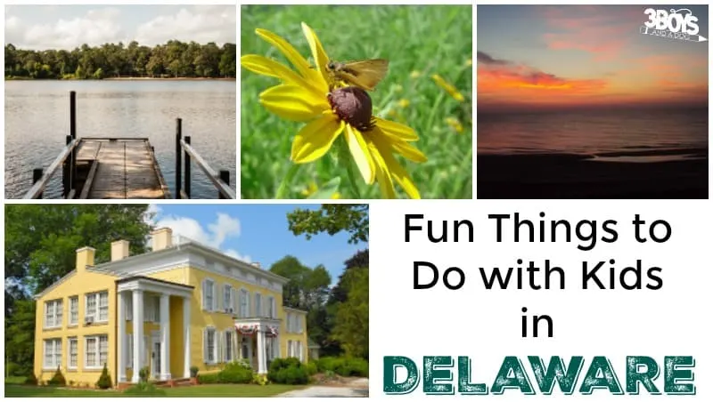 Fun Things to Do with Kids in Delaware